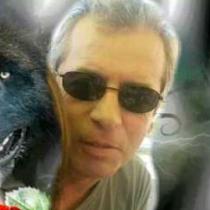 bobwolf