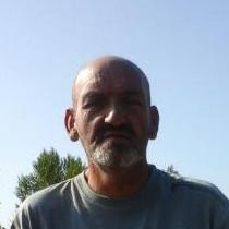 Domidomi