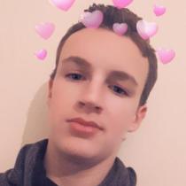 Melv17