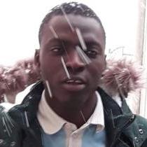 Moisesi