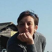pav85